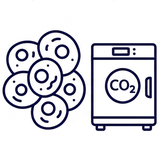 Клеточная биология