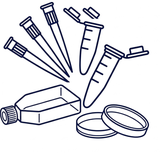 Пластик и стекло