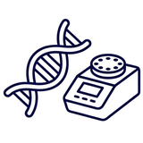 ПЦР и генетический анализ